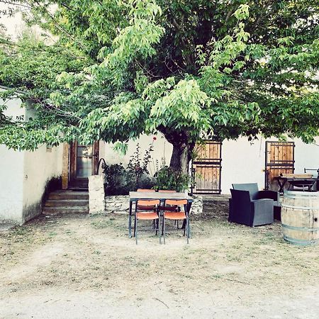 Maison Au Milieu Des Chevaux LʼIsle-sur-la-Sorgue Zewnętrze zdjęcie